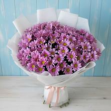 Букет цветов из:  Хризантемы в Ям