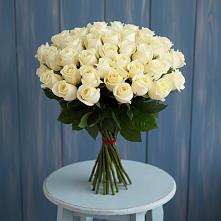 Букет 51 Белая роза Эдлесс Лав #REPLACE_PRED# Ям