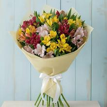 Букет цветов из:  Альстромерии в Ям